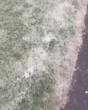 https://media.loupak.fun/soubory/obrazky_n/_GIF/2338/01541.gif