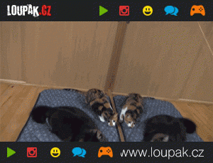 https://media.loupak.fun/soubory/obrazky_n/_GIF/236/1328.gif