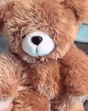 https://media.loupak.fun/soubory/obrazky_n/_GIF/2444/03661.gif