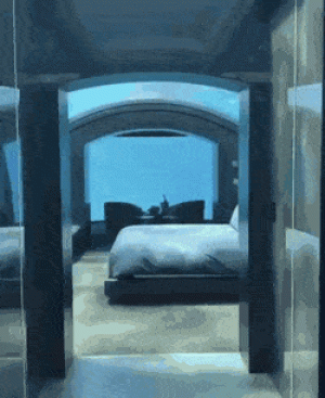 https://media.loupak.fun/soubory/obrazky_n/_GIF/2479/04361.gif