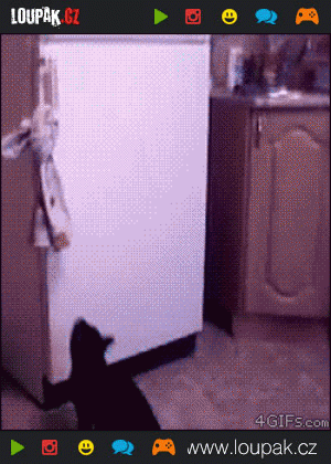https://media.loupak.fun/soubory/obrazky_n/_GIF/25/6_005.gif