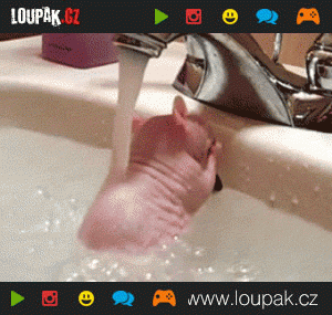 https://media.loupak.fun/soubory/obrazky_n/_GIF/25/6_006.gif