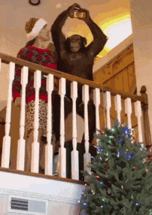 https://media.loupak.fun/soubory/obrazky_n/_GIF/2563/06042.gif