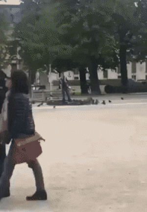 https://media.loupak.fun/soubory/obrazky_n/_GIF/2564/06062.gif