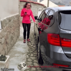https://media.loupak.fun/soubory/obrazky_n/_GIF/2637/0062.gif
