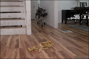 https://media.loupak.fun/soubory/obrazky_n/_GIF/2694/1203.gif