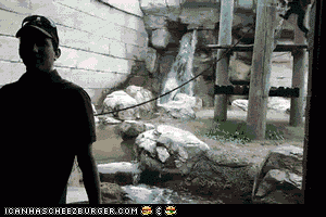 https://media.loupak.fun/soubory/obrazky_n/_GIF/2696/1242.gif