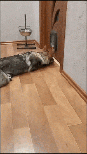 https://media.loupak.fun/soubory/obrazky_n/_GIF/2720/1722.gif