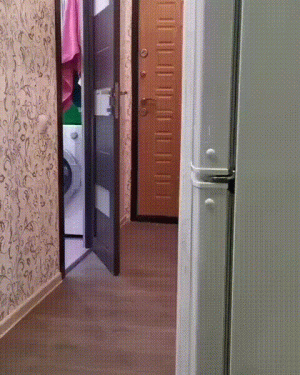 https://media.loupak.fun/soubory/obrazky_n/_GIF/2759/2503.gif