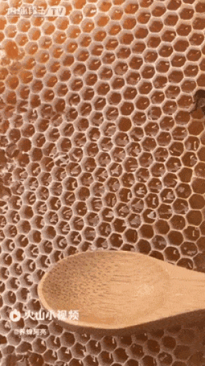 https://media.loupak.fun/soubory/obrazky_n/_GIF/2764/2603.gif
