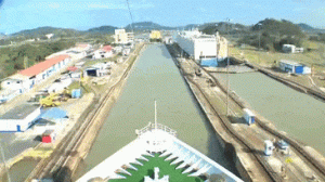 https://media.loupak.fun/soubory/obrazky_n/_GIF/2765/2622.gif