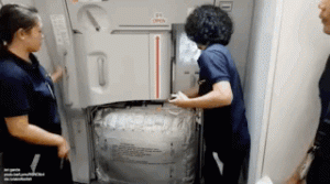 https://media.loupak.fun/soubory/obrazky_n/_GIF/2765/2623.gif
