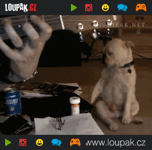 https://media.loupak.fun/soubory/obrazky_n/_GIF/277/2508.gif