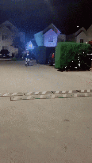 https://media.loupak.fun/soubory/obrazky_n/_GIF/2783/2982.gif