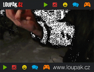 https://media.loupak.fun/soubory/obrazky_n/_GIF/279/2458.gif