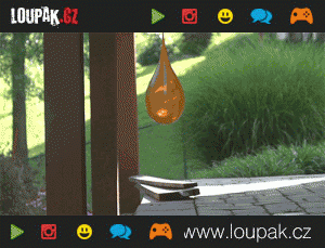 https://media.loupak.fun/soubory/obrazky_n/_GIF/288/2232.gif