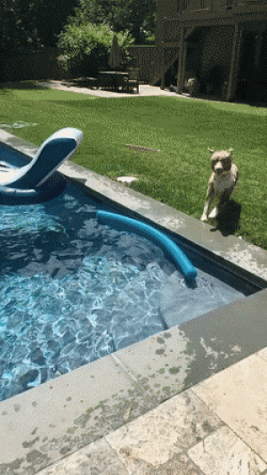https://media.loupak.fun/soubory/obrazky_n/_GIF/2904/5402.gif
