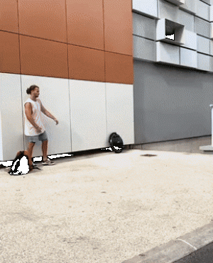 https://media.loupak.fun/soubory/obrazky_n/_GIF/2904/5403.gif