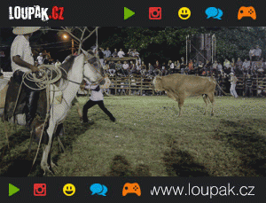 https://media.loupak.fun/soubory/obrazky_n/_GIF/295/2057.gif