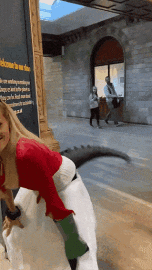 https://media.loupak.fun/soubory/obrazky_n/_GIF/2992/7163.gif