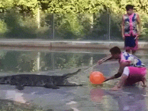 https://media.loupak.fun/soubory/obrazky_n/_GIF/3005/00123.gif