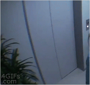 https://media.loupak.fun/soubory/obrazky_n/_GIF/305/1808.gif