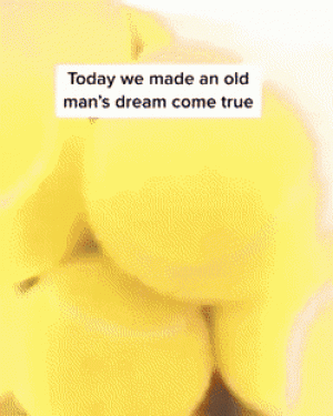 https://media.loupak.fun/soubory/obrazky_n/_GIF/3074/01503.gif