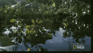 https://media.loupak.fun/soubory/obrazky_n/_GIF/3096/01942.gif