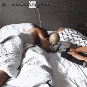 https://media.loupak.fun/soubory/obrazky_n/_GIF/3136/02742.gif
