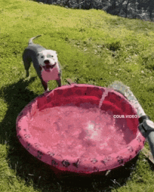 https://media.loupak.fun/soubory/obrazky_n/_GIF/3144/02902.gif
