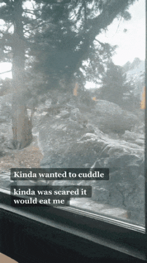 https://media.loupak.fun/soubory/obrazky_n/_GIF/3370/07423.gif