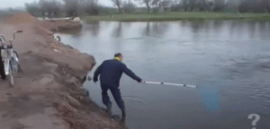 https://media.loupak.fun/soubory/obrazky_n/_GIF/3379/07603.gif