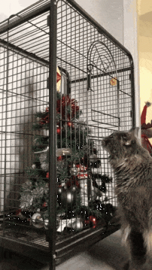 https://media.loupak.fun/soubory/obrazky_n/_GIF/3405/08123.gif