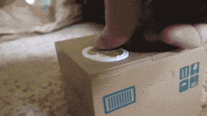 https://media.loupak.fun/soubory/obrazky_n/_GIF/3413/08282.gif