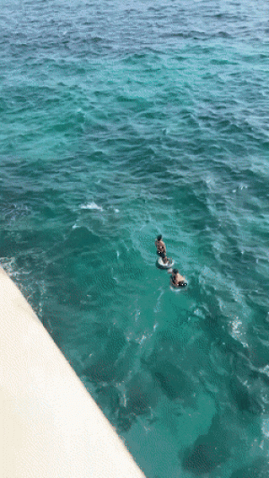 https://media.loupak.fun/soubory/obrazky_n/_GIF/3414/08303.gif