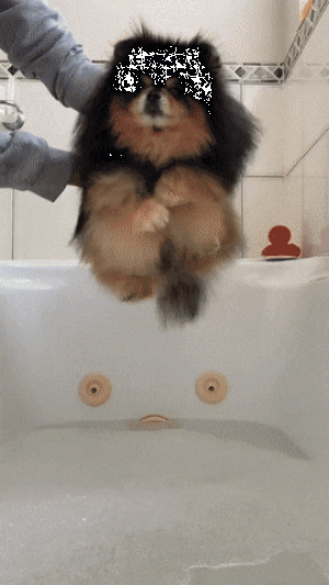 https://media.loupak.fun/soubory/obrazky_n/_GIF/3423/08483.gif
