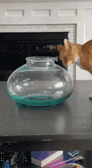 https://media.loupak.fun/soubory/obrazky_n/_GIF/3509/10203.gif