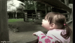 https://media.loupak.fun/soubory/obrazky_n/_GIF/3521/00062.gif