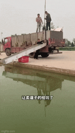 https://media.loupak.fun/soubory/obrazky_n/_GIF/3531/00261.gif