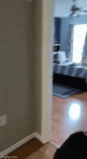 https://media.loupak.fun/soubory/obrazky_n/_GIF/3536/00361.gif