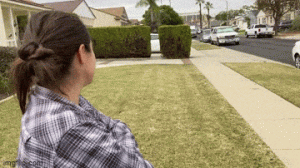 https://media.loupak.fun/soubory/obrazky_n/_GIF/3539/00421.gif