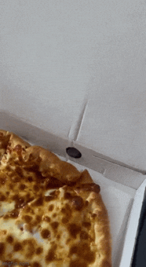 https://media.loupak.fun/soubory/obrazky_n/_GIF/3554/00721.gif