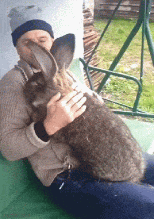 https://media.loupak.fun/soubory/obrazky_n/_GIF/3555/00742.gif