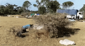 https://media.loupak.fun/soubory/obrazky_n/_GIF/3561/00862.gif