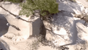https://media.loupak.fun/soubory/obrazky_n/_GIF/3575/01141.gif