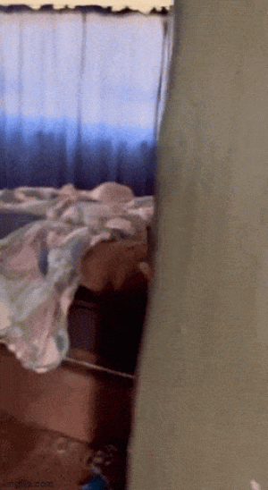 https://media.loupak.fun/soubory/obrazky_n/_GIF/3583/01302.gif