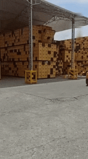https://media.loupak.fun/soubory/obrazky_n/_GIF/3680/03241.gif