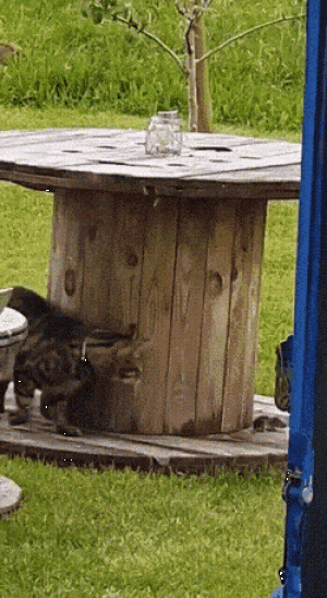 https://media.loupak.fun/soubory/obrazky_n/_GIF/3701/14042.gif