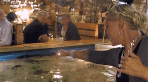 https://media.loupak.fun/soubory/obrazky_n/_GIF/3709/14203.gif