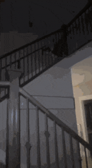https://media.loupak.fun/soubory/obrazky_n/_GIF/3710/14223.gif